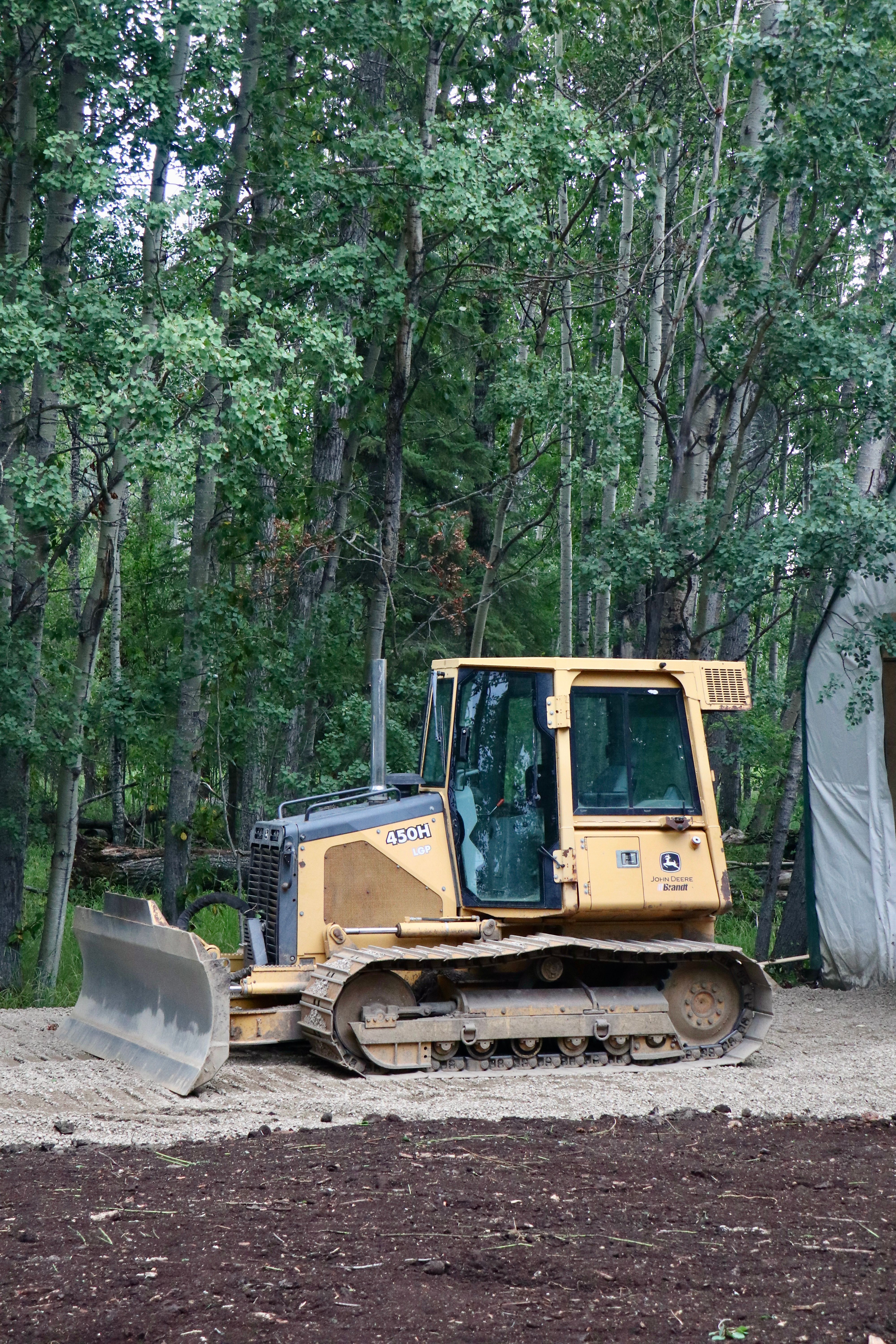 Tree cutting and pruning services