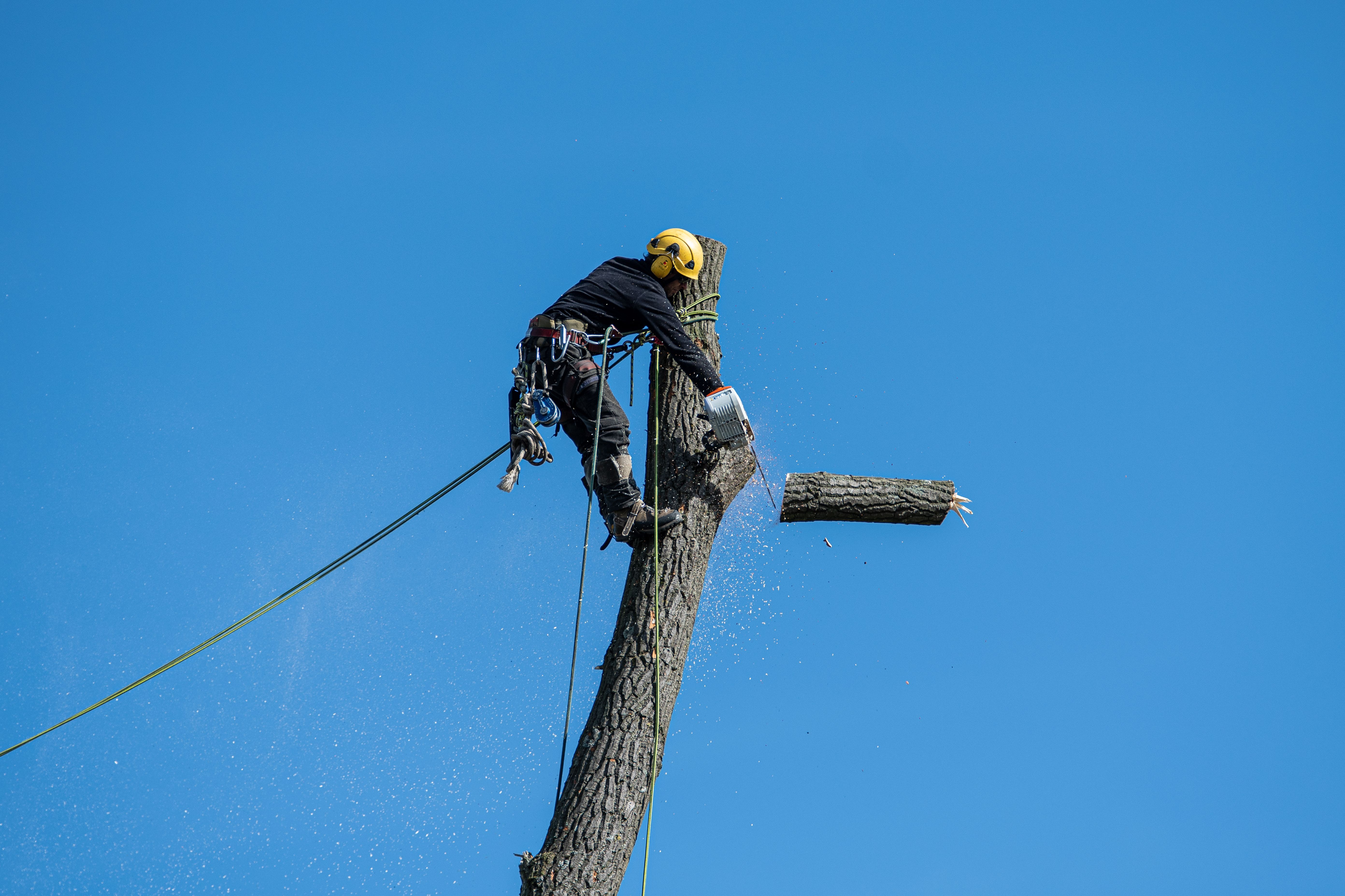 Construction debris removal