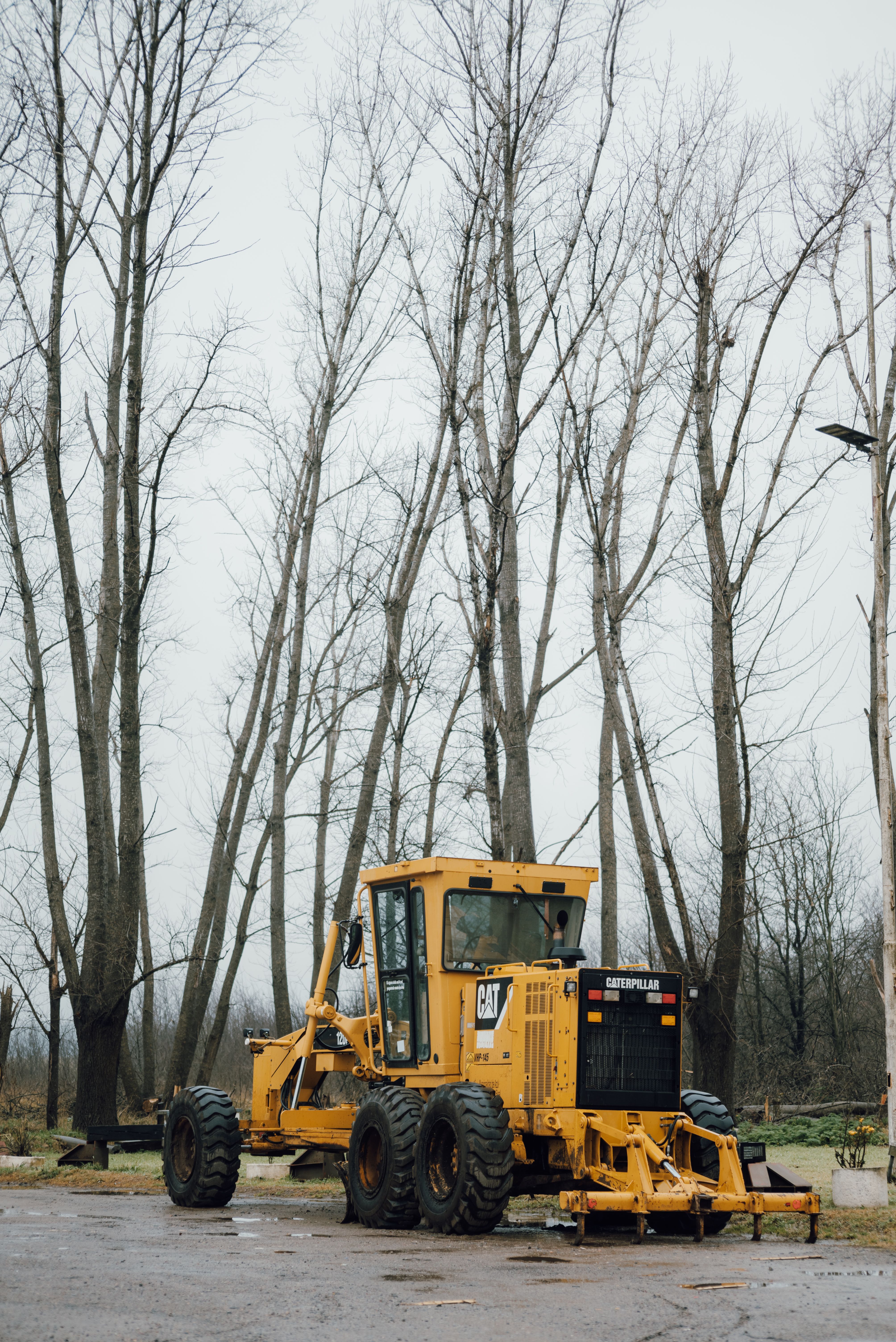 Site preparation for development